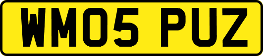 WM05PUZ