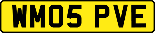 WM05PVE