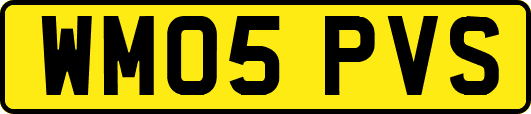 WM05PVS