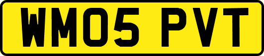 WM05PVT