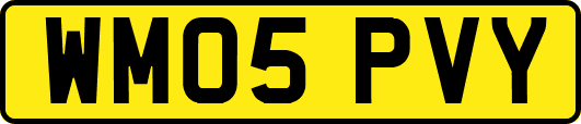 WM05PVY