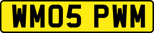 WM05PWM