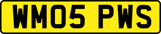 WM05PWS