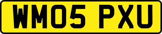 WM05PXU