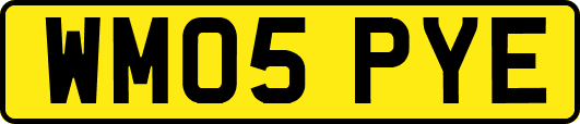 WM05PYE