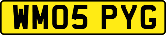 WM05PYG