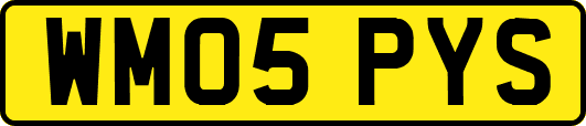 WM05PYS