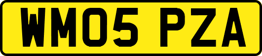 WM05PZA
