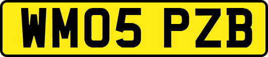 WM05PZB