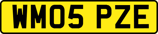 WM05PZE