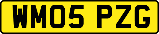 WM05PZG
