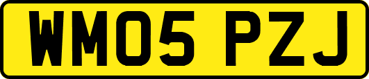 WM05PZJ