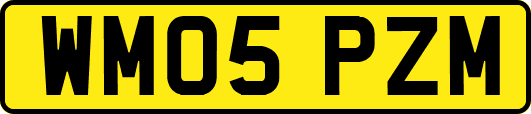 WM05PZM