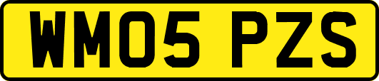 WM05PZS