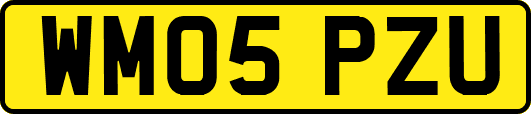 WM05PZU