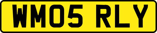WM05RLY