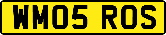 WM05ROS