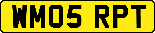 WM05RPT