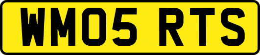 WM05RTS