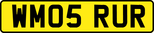 WM05RUR