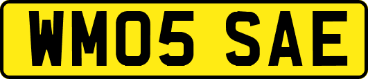 WM05SAE