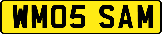 WM05SAM