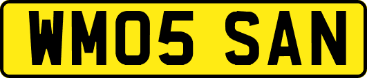 WM05SAN
