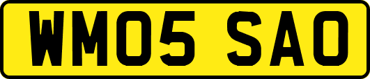 WM05SAO