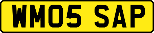WM05SAP