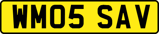 WM05SAV
