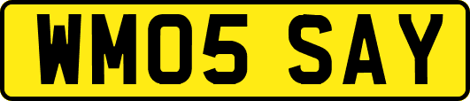WM05SAY
