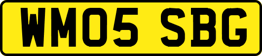 WM05SBG