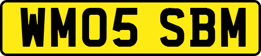 WM05SBM