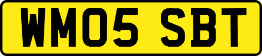 WM05SBT