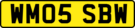 WM05SBW