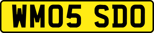 WM05SDO