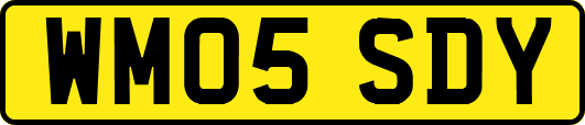 WM05SDY