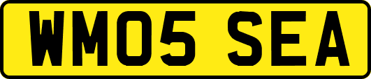 WM05SEA