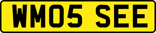 WM05SEE