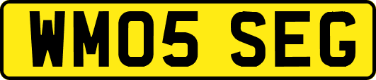 WM05SEG