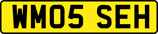 WM05SEH