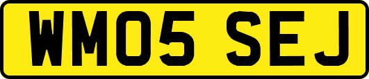 WM05SEJ