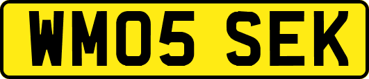 WM05SEK