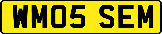 WM05SEM