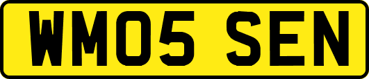 WM05SEN
