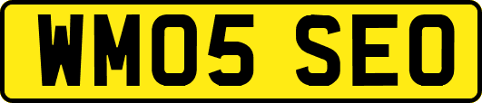 WM05SEO