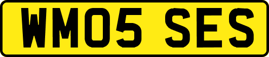 WM05SES