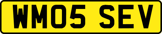 WM05SEV