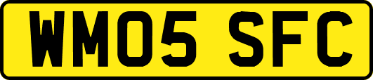 WM05SFC