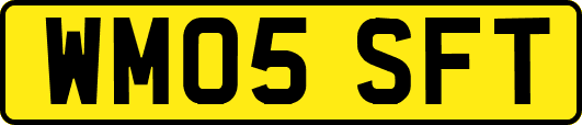 WM05SFT